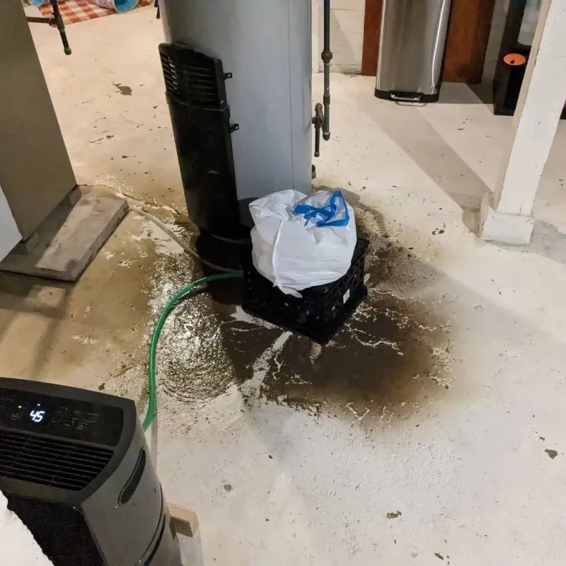 Sewage Backup Cleanup Service in Sweet Home, OR